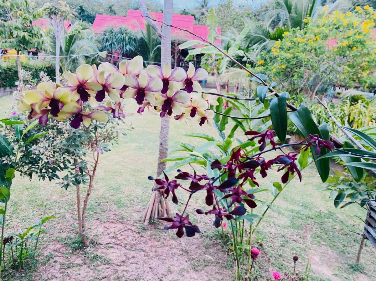 Nadia Resort Kohjum Koh Jum Dış mekan fotoğraf