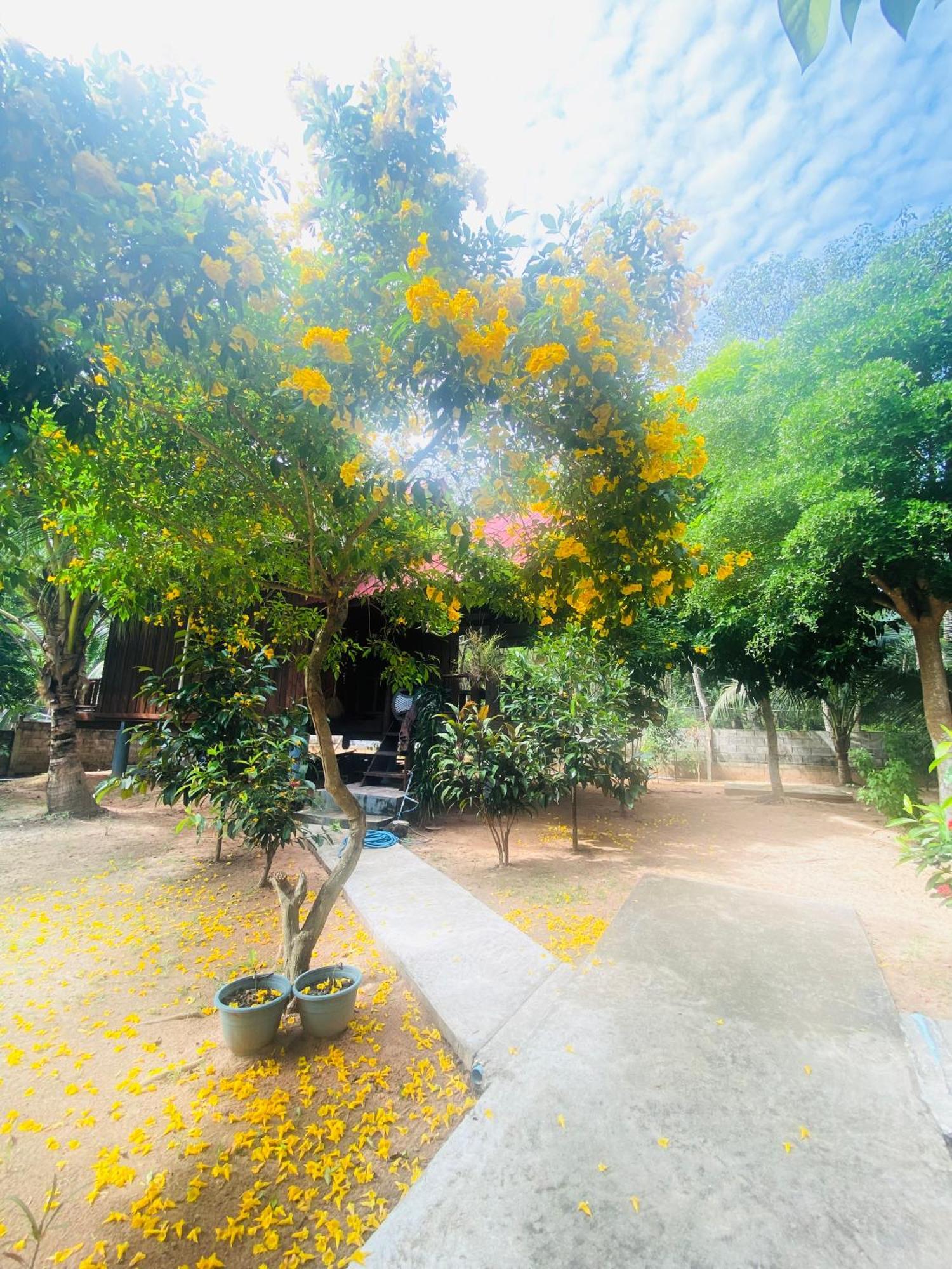 Nadia Resort Kohjum Koh Jum Dış mekan fotoğraf