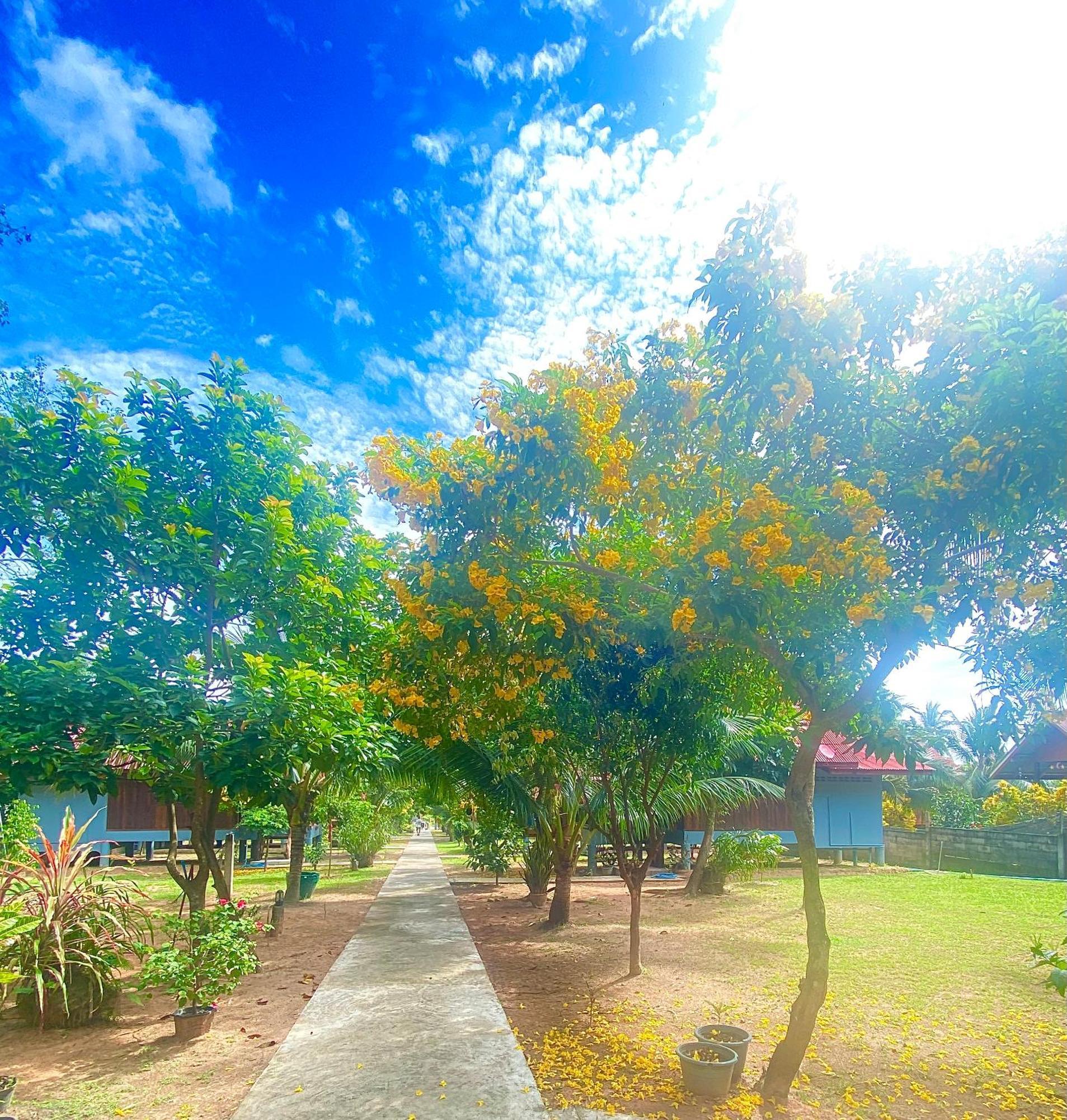 Nadia Resort Kohjum Koh Jum Dış mekan fotoğraf