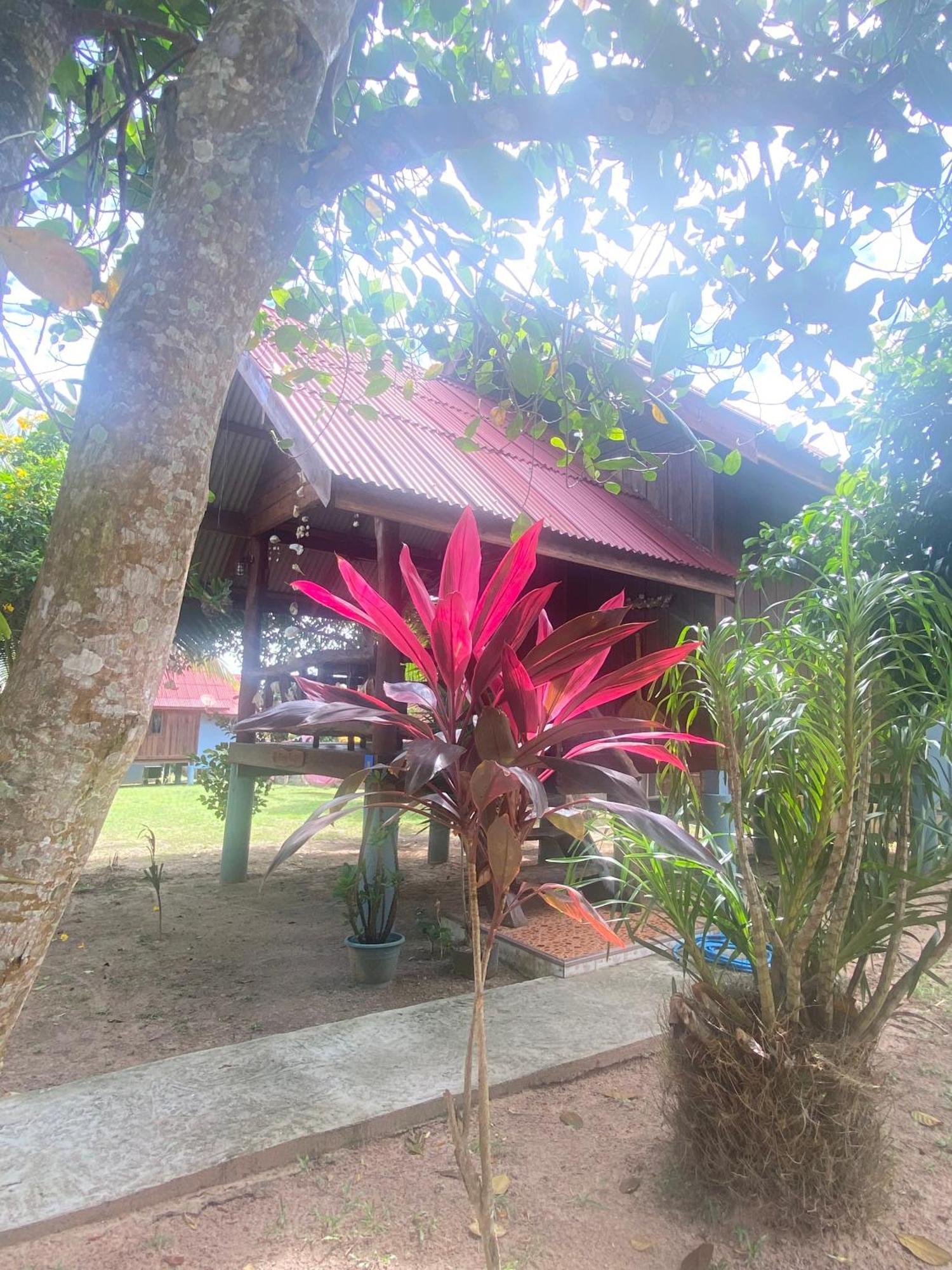 Nadia Resort Kohjum Koh Jum Dış mekan fotoğraf